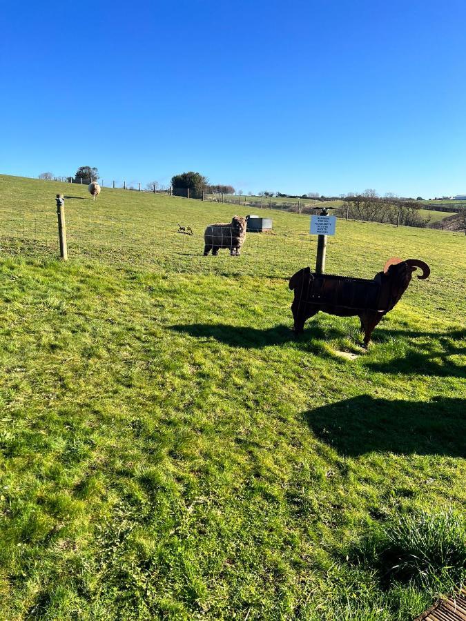 King Richard'S Luxury Lodge - Sleeps Up To 8 ,Dog Friendly ,Near Sherwood Forest At Fairview Farm In Nottingham Set In 88 Acres And Great For Groups,Family Gatherings,Corporate Events Exterior foto